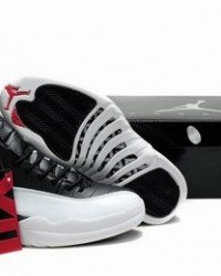 Air Jordan XII (12) Retro-41