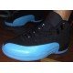 Air Jordan XII (12) Retro Gamma Blue