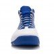 Air Jordan X (10) Retro Old Royal