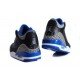 Air Jordan 3 Sport Blue