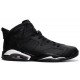 Air Jordan 6 Black Cat