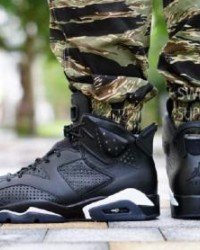 Air Jordan 6 Black Cat