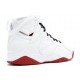 Air Jordan 7 History of Flight