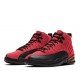 Air Jordan 12 Retro Reverse Flu Game