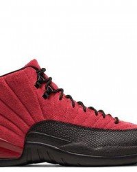 Air Jordan 12 Retro Reverse Flu Game