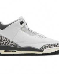 Air Jordan 3 Retro GS Hide N Sneak