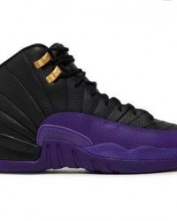 Air Jordan 12 Retro GS Field Purple